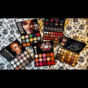 Professional Makeup Palettes